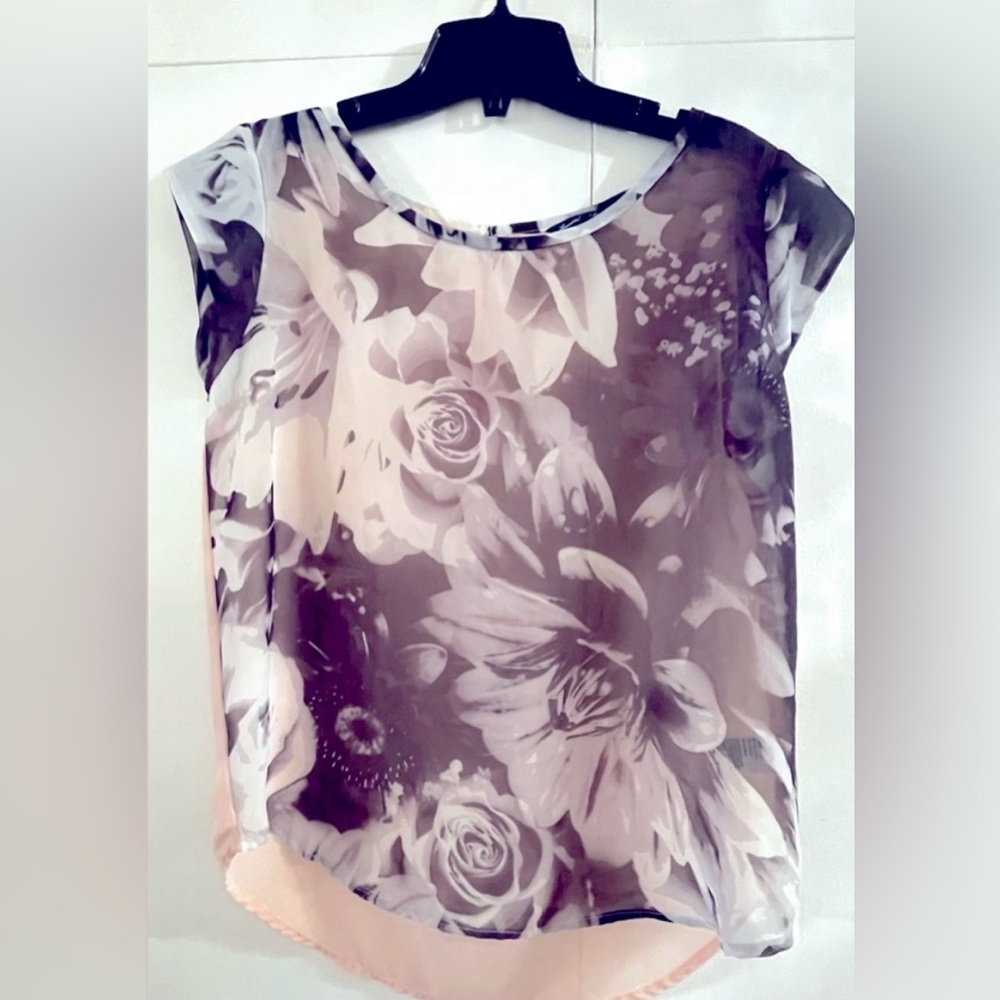 American Eagle Outfitters Sheer off the shoulder Blouse. Size S